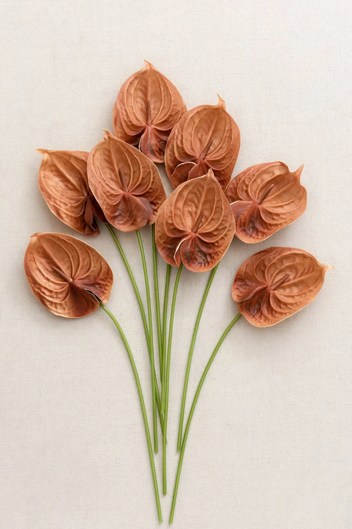 15" Anthurium Flowers with Stem - Burnt Orange (8pcs)