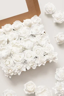 DIY Supporting Flower Boxes White Basic Combo Set