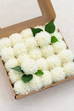 2.5" Foam Dahlia with Stem - Ivory(25pcs)