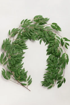 5.9ft Willow Leaf Greenery Garland - Dark Green