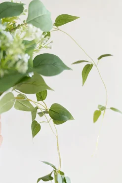 Greenery Combo Pack