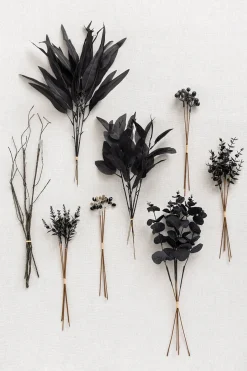 Greenery Combo Pack