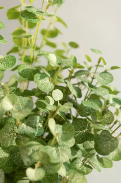 Gunni Eucalyptus | Clearance