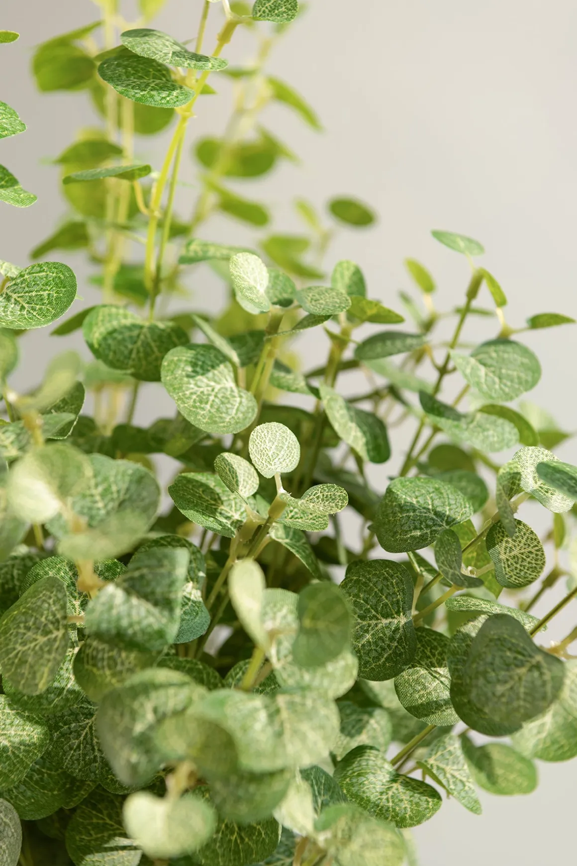 Gunni Eucalyptus | Clearance