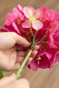 Hydrangeas with Stem - Berry Pink
