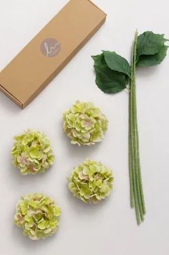 Hydrangeas with Stem - Light Green