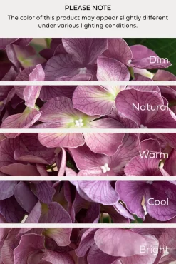Hydrangeas with Stem - Purple