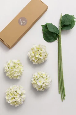 Hydrangeas with Stem - White