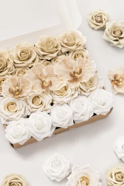 5-in-1 Quintet Floral Boxes