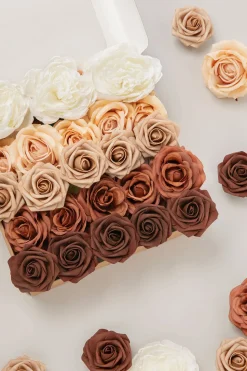 5-in-1 Quintet Floral Boxes - Terracotta