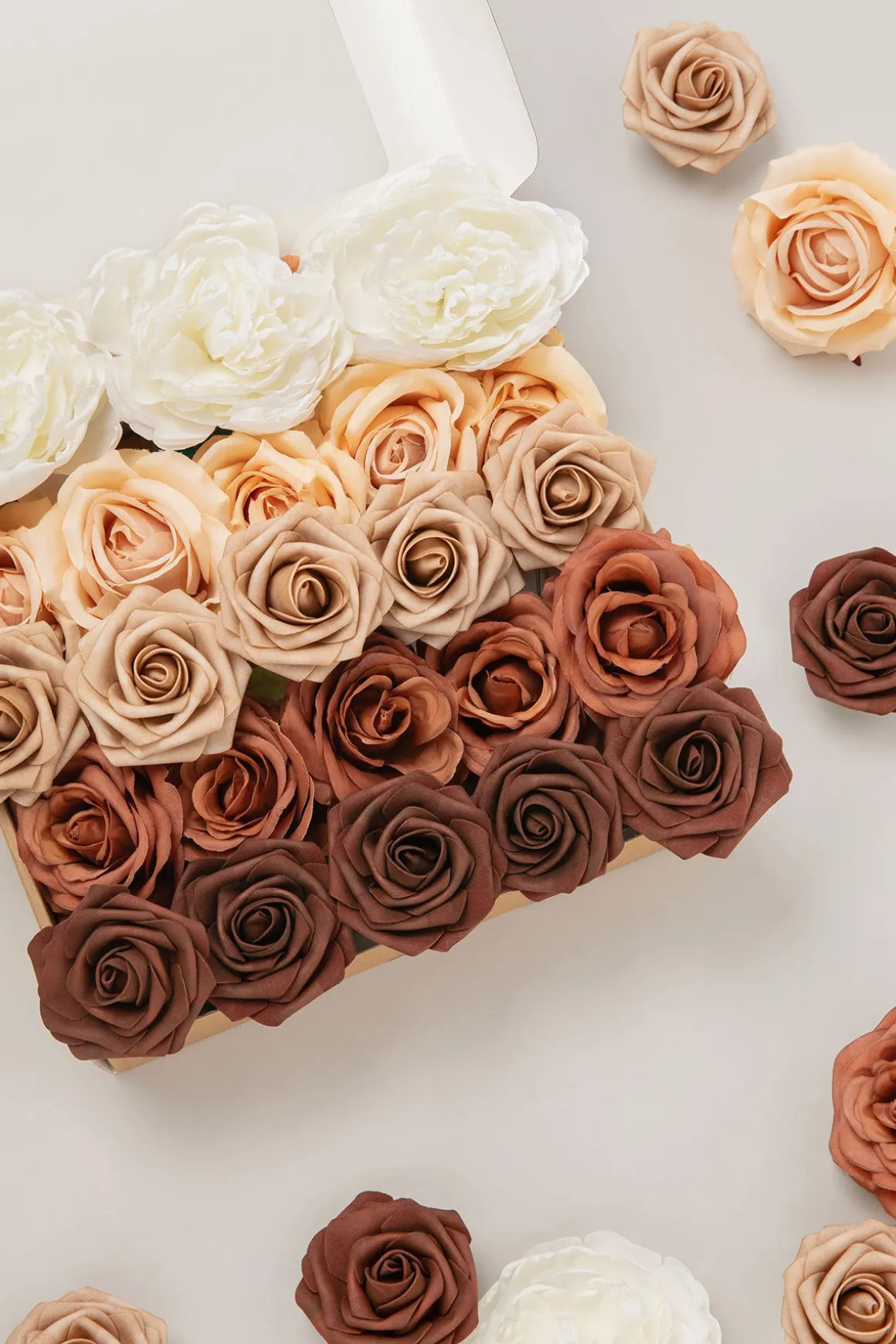 5-in-1 Quintet Floral Boxes - Terracotta