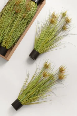 Lush Maiden Grass Meadow in Green | Clearance