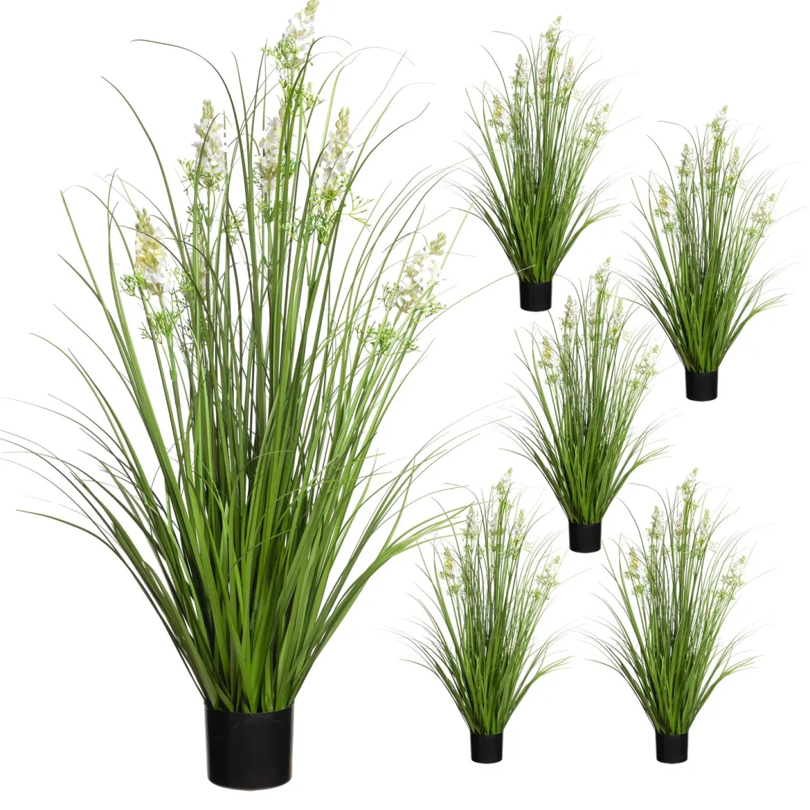 Maiden Grass in White & Green Delphinium (Set of 6) | Clearance