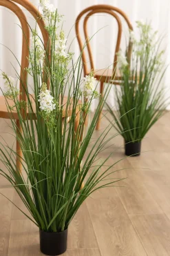 Maiden Grass in White & Green Delphinium (Set of 6) | Clearance