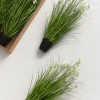 Maiden Grass Meadow in White & Green Hyacinth