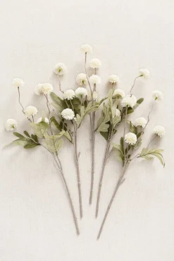 Pompon Mum with Stem