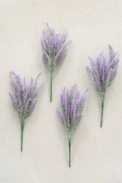 Purple Lavender Bush