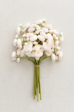 Ranunculus Flowers with Stem