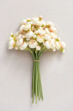 Ranunculus Flowers with Stem