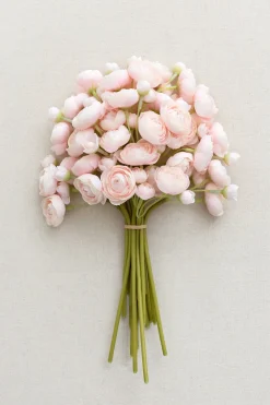 Ranunculus Flowers with Stem