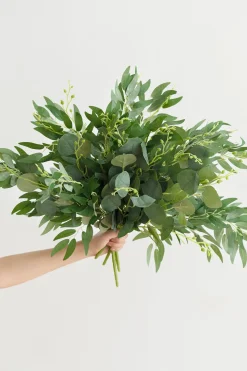 Silver Dollar Eucalyptus and Willow Leaf Spray