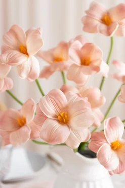 Tulips with Stem