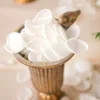Wedding Flower Packages in May Lily & Olive
